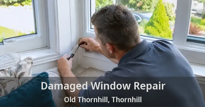 Damaged Window Repair Old Thornhill, Thornhill - ON