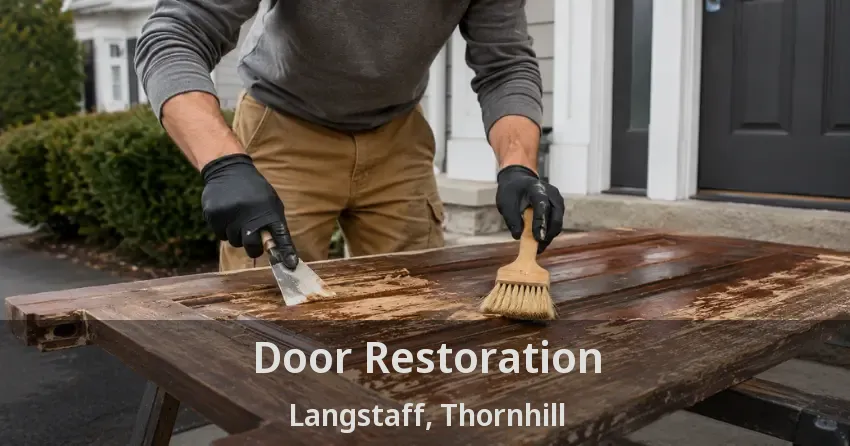 Door Restoration Langstaff, Thornhill - ON
